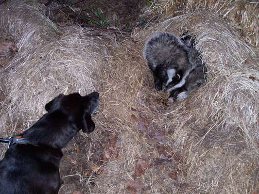 Handy-Foto-Challange Nr. 8-Beitrag-Bild