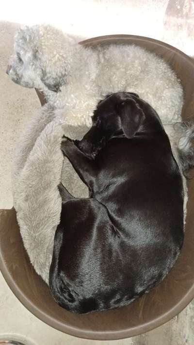 Erhöhter Kuschelbedarf im Winter?-Beitrag-Bild