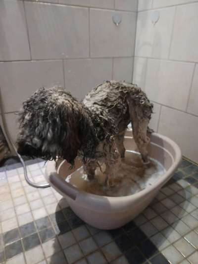 35. Handy Foto Challenge - Das nasse Element-Beitrag-Bild