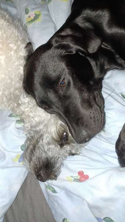 Relaxen im bett-Beitrag-Bild