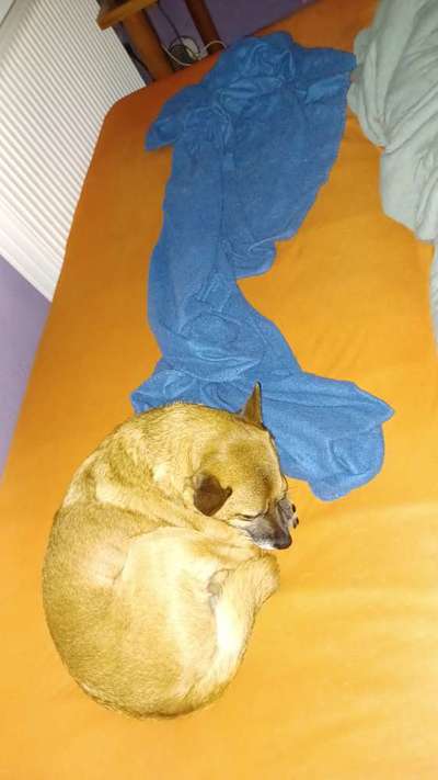 Buddeln auf dem Sofa-Beitrag-Bild