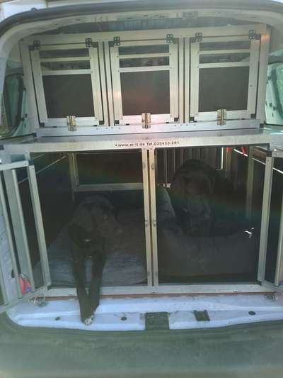 TierschutzhundeStammtisch🐕-Beitrag-Bild