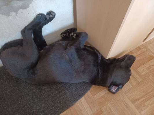 Platz aussuchen lassen.-Beitrag-Bild