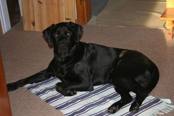 Groß oder Klein?-Beitrag-Bild