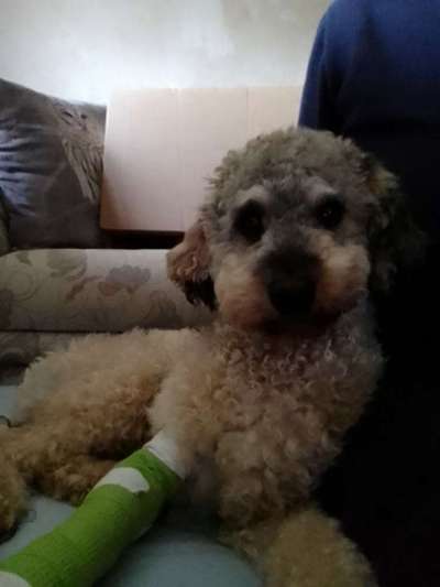 Fixateur extern - wie geht man damit um?-Beitrag-Bild