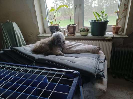 Die Liebe zum Sofa unterbinden-Beitrag-Bild