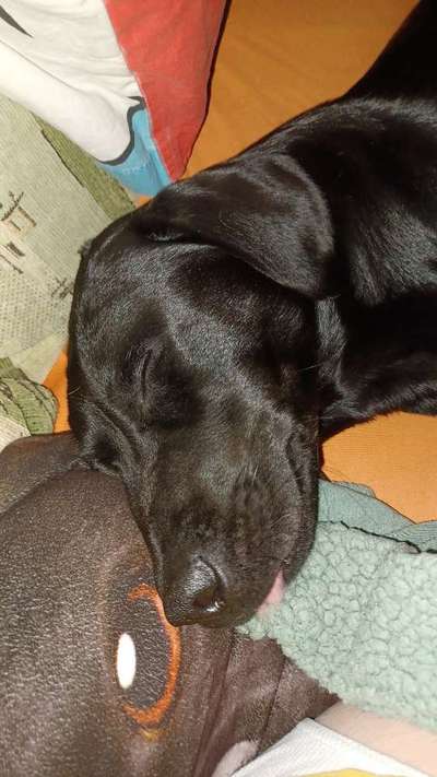 Relaxen im bett-Beitrag-Bild