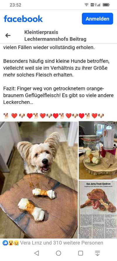 Ist Trockenfutter schädlich?-Beitrag-Bild