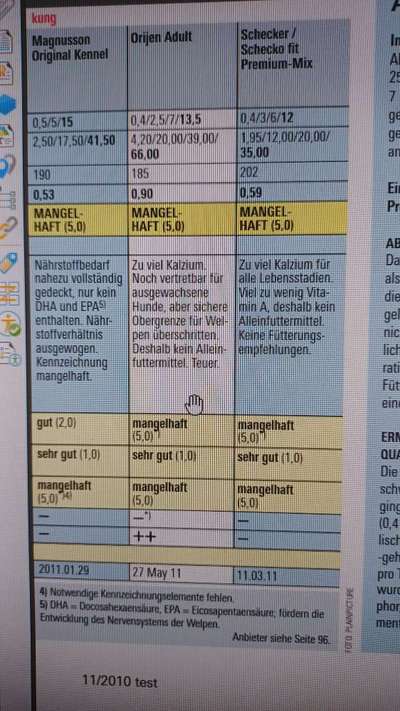 Alles rund um den Pudel-Beitrag-Bild