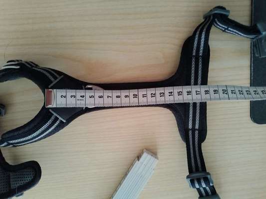 Wie sitzt mein Geschirr?-Beitrag-Bild