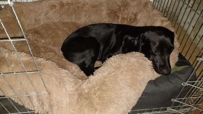 Erfahrung mit Wolkenbett-Beitrag-Bild