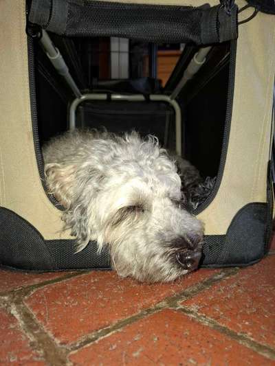 Box für Rückbank im Auto-Beitrag-Bild