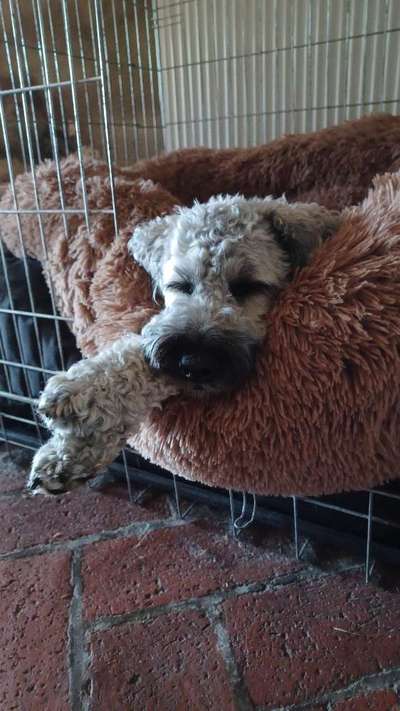 Erfahrung mit Wolkenbett-Beitrag-Bild