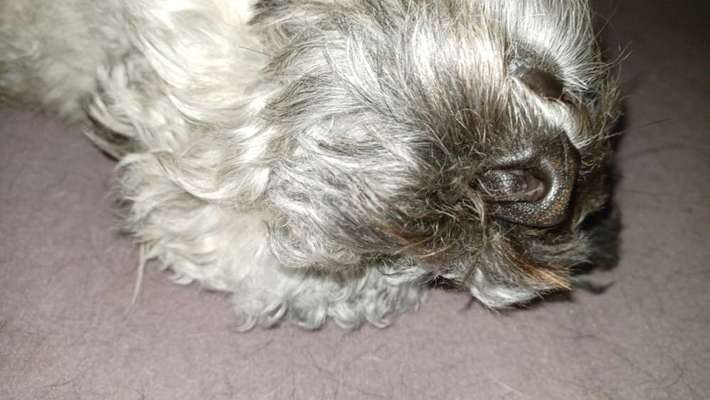 Lustige Eigenheiten-Beitrag-Bild