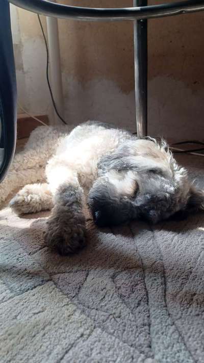 Farben Fotochallenge Sonnenlicht-Beitrag-Bild