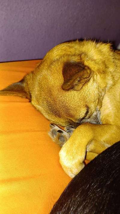 Relaxen im bett-Beitrag-Bild