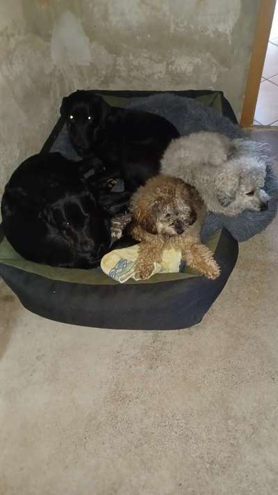 Erfahrung mit Wolkenbett-Beitrag-Bild