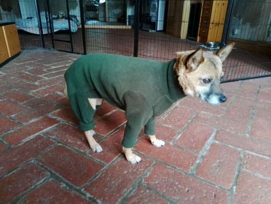 Wann eindecken bei Spondylose?-Beitrag-Bild