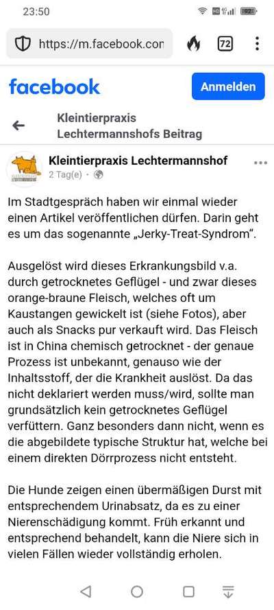 Ist Trockenfutter schädlich?-Beitrag-Bild