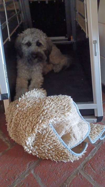 Nest bauen/ sich bequem machen-Beitrag-Bild