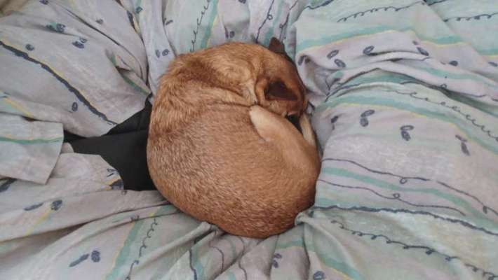 Morgenmuffel-Beitrag-Bild