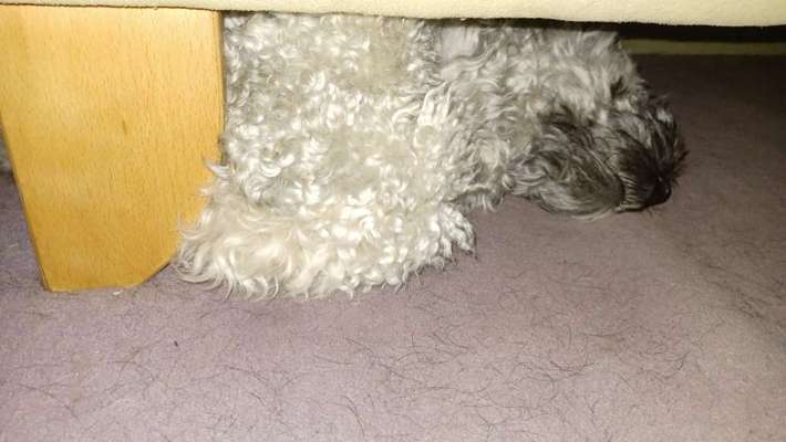 Lustige Eigenheiten-Beitrag-Bild