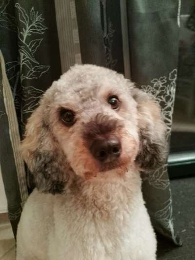 Vor dem Friseur - nach dem Friseur-Beitrag-Bild