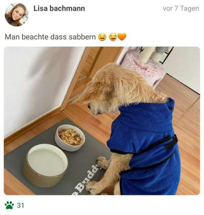 Fotochallenge 31 - Das perfekte Hundedinner-Beitrag-Bild