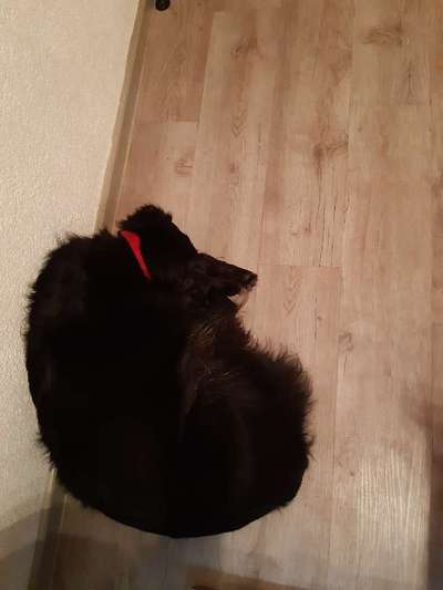 CHALLENGE NR. 34 - Liege-/Schlafpositionen-Beitrag-Bild