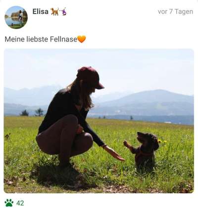 Challenge 30  Freundschaft-Beitrag-Bild