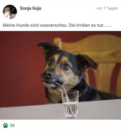 Fotochallenge 27-Beitrag-Bild