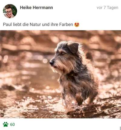 Fotochallenge No. 26                                     Wald und Wiese-Beitrag-Bild