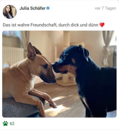 Challenge 30  Freundschaft-Beitrag-Bild