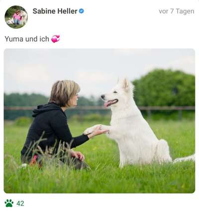 Challenge 33 - Du und dein Hund-Beitrag-Bild