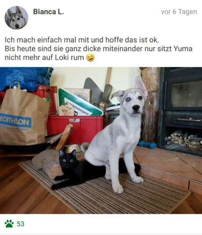 CHALLENGE Nr.17-Beitrag-Bild