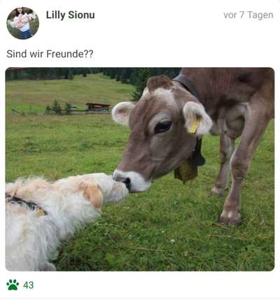 Challenge 30  Freundschaft-Beitrag-Bild