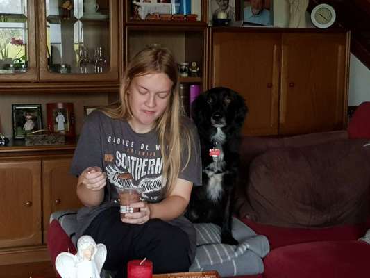 Fotochallenge 31 - Das perfekte Hundedinner-Beitrag-Bild