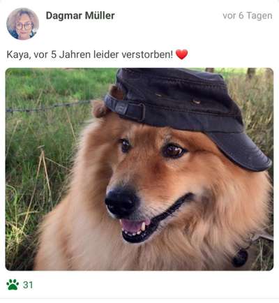 Fotochallenge Nr. 29 - Accessoires-Beitrag-Bild