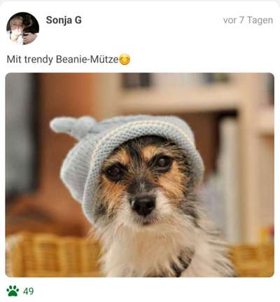 Fotochallenge Nr. 29 - Accessoires-Beitrag-Bild