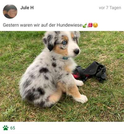 Fotochallenge No. 26                                     Wald und Wiese-Beitrag-Bild