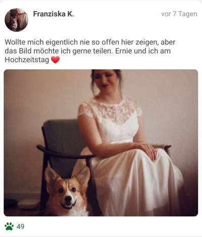 Challenge 33 - Du und dein Hund-Beitrag-Bild
