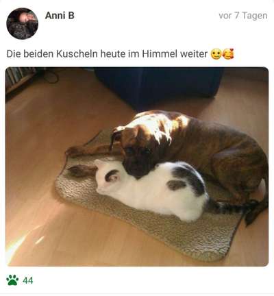 Challenge 30  Freundschaft-Beitrag-Bild