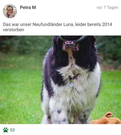 Fotochallenge No. 26                                     Wald und Wiese-Beitrag-Bild