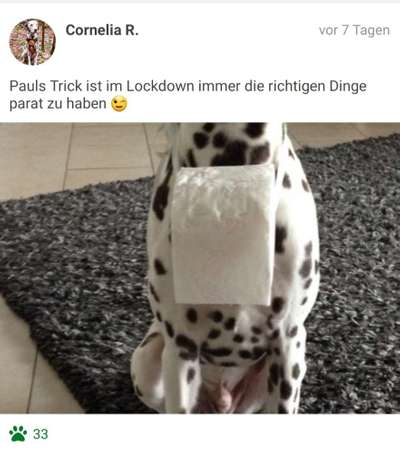 FOTOCHALLENGE:24  Thema: Hunde und ihre Tricks-Beitrag-Bild