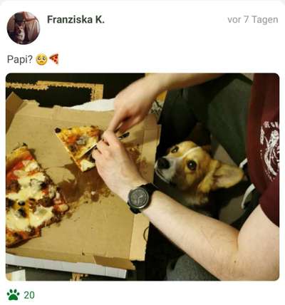Fotochallenge 31 - Das perfekte Hundedinner-Beitrag-Bild