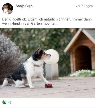 FOTOCHALLENGE:24  Thema: Hunde und ihre Tricks-Beitrag-Bild