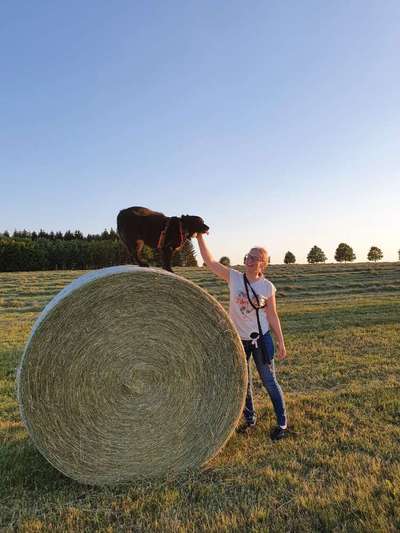 Fotochallenge No. 26                                     Wald und Wiese-Beitrag-Bild