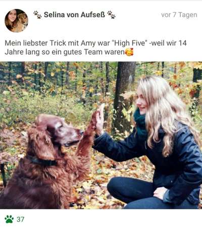 FOTOCHALLENGE:24  Thema: Hunde und ihre Tricks-Beitrag-Bild