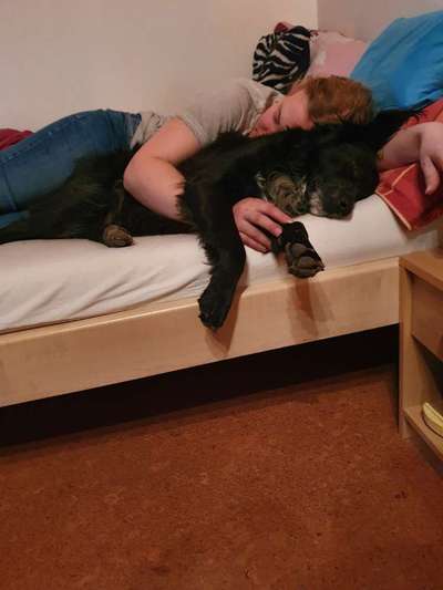 Challenge 33 - Du und dein Hund-Beitrag-Bild