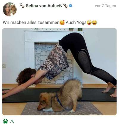 Challenge 33 - Du und dein Hund-Beitrag-Bild